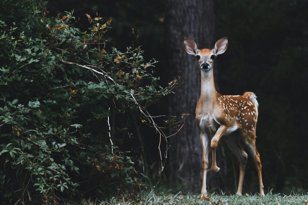 Hello World Featured Image